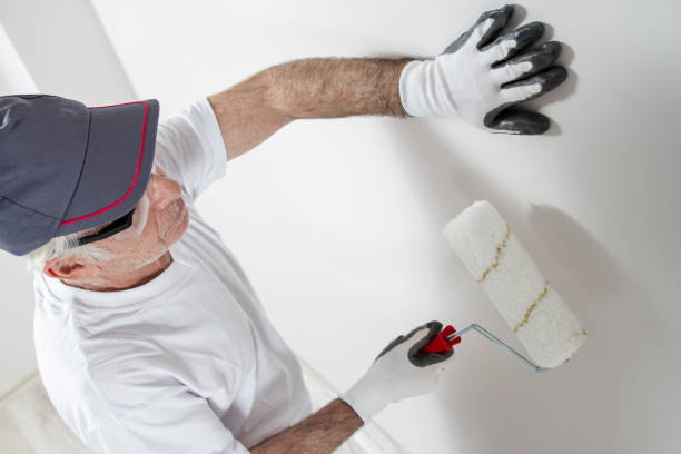 Best Mold Damage Restoration  in Lewisport, KY