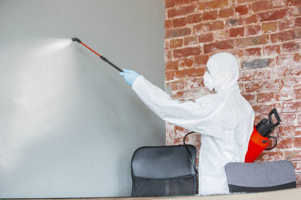 Professional Mold Removal in Lewisport, KY