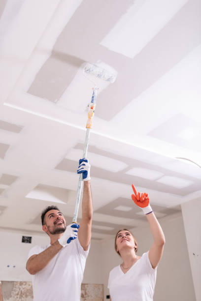 Best Biohazard Mold Removal  in Lewisport, KY