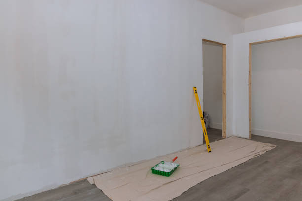 Mold Odor Removal Services in Lewisport, KY