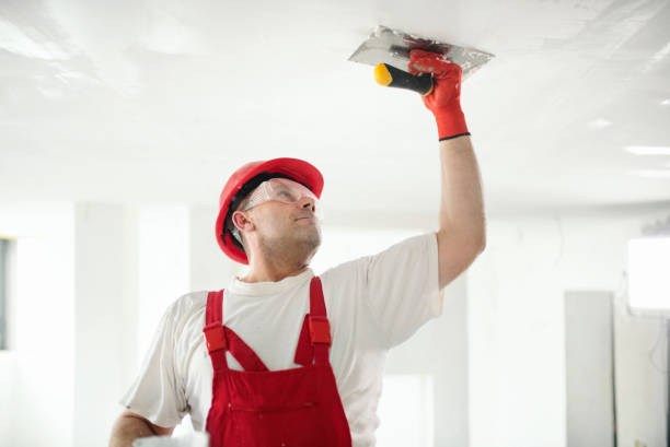 Best Crawl Space Mold Remediation  in Lewisport, KY