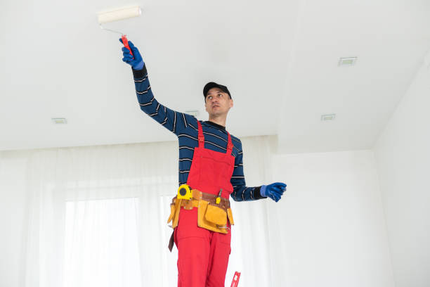 Best Residential Mold Inspection & Testing  in Lewisport, KY