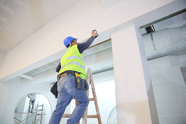 Best Commercial Mold Inspection  in Lewisport, KY
