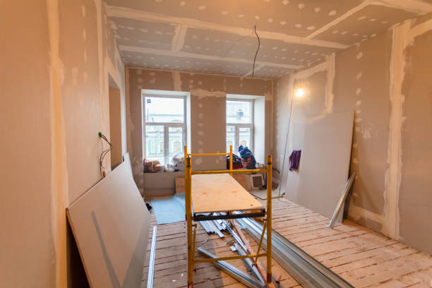 Best Black Mold Removal  in Lewisport, KY