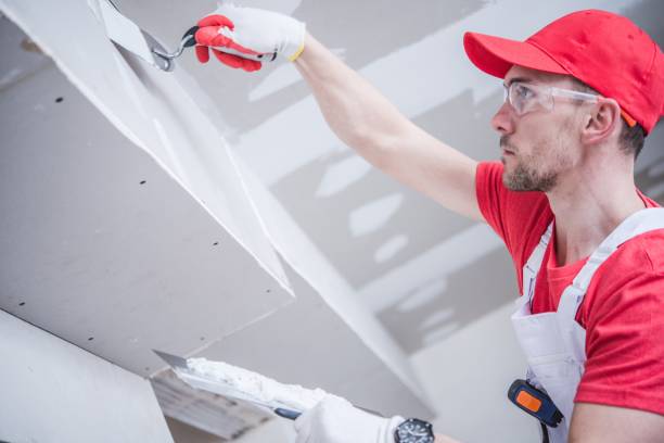 Best Environmental Consulting for Mold Prevention  in Lewisport, KY