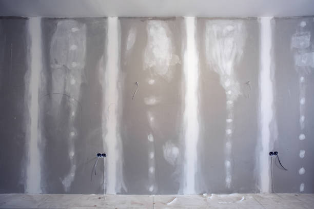 Best Comprehensive Air Testing for Mold Contaminants  in Lewisport, KY